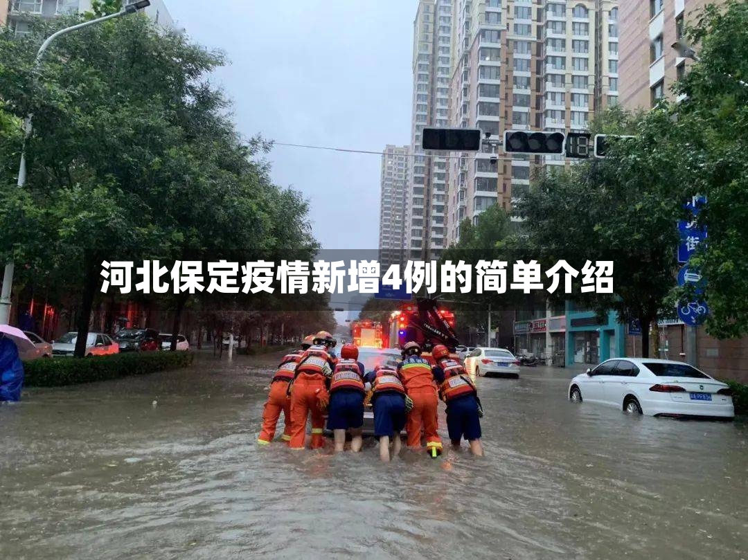 河北保定疫情新增4例的简单介绍-第2张图片
