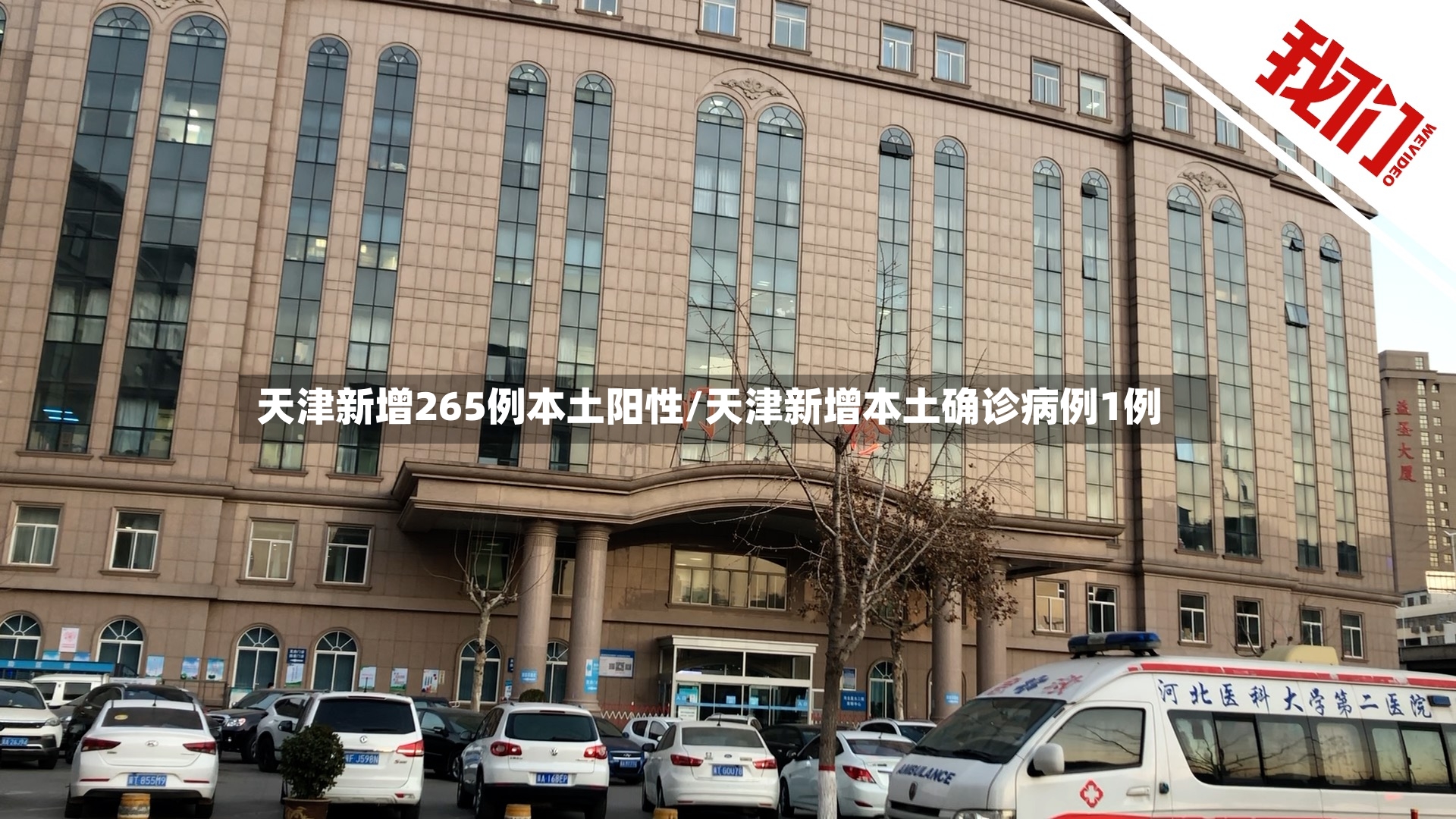 天津新增265例本土阳性/天津新增本土确诊病例1例-第2张图片