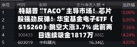特朗普“TACO”主导市场！芯片股强劲反弹！华宝基金电子ETF（515260）跳空大涨3.7% 此前两日连续吸金1817万-第3张图片