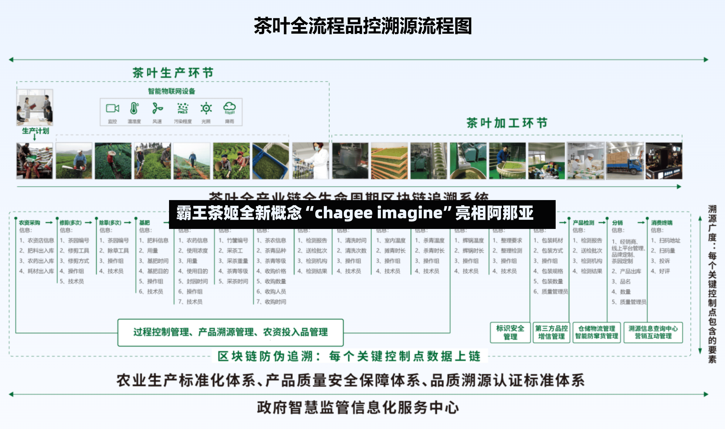 霸王茶姬全新概念“chagee imagine”亮相阿那亚-第3张图片