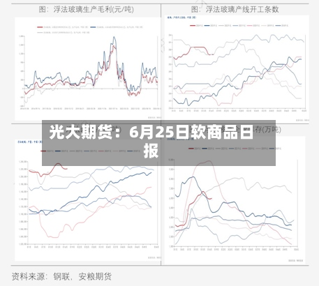 光大期货：6月25日软商品日报-第2张图片