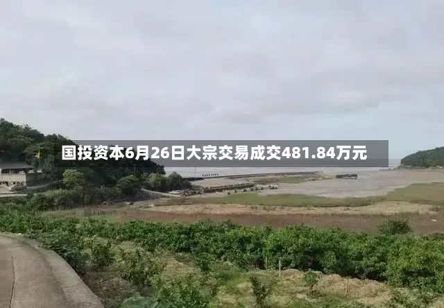国投资本6月26日大宗交易成交481.84万元