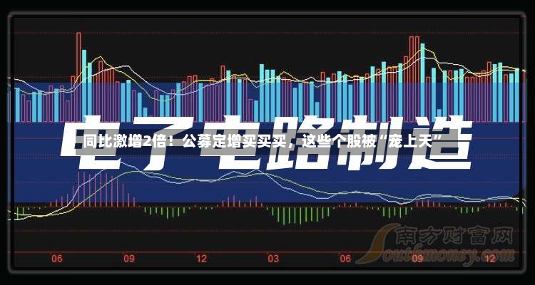同比激增2倍！公募定增买买买，这些个股被“宠上天”