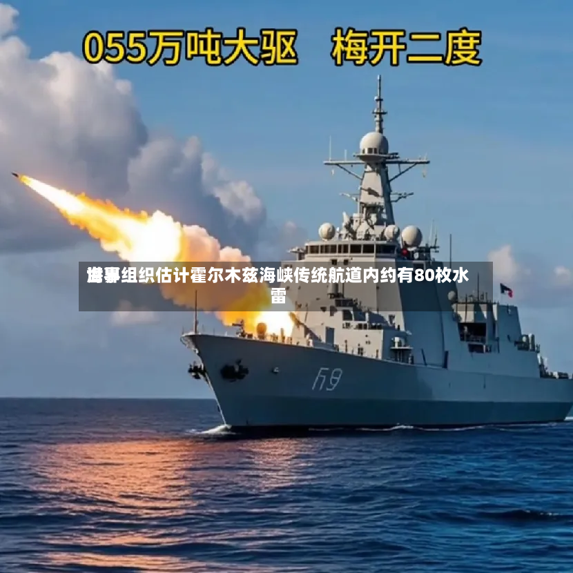 世界海事组织估计霍尔木兹海峡传统航道内约有80枚水雷-第3张图片