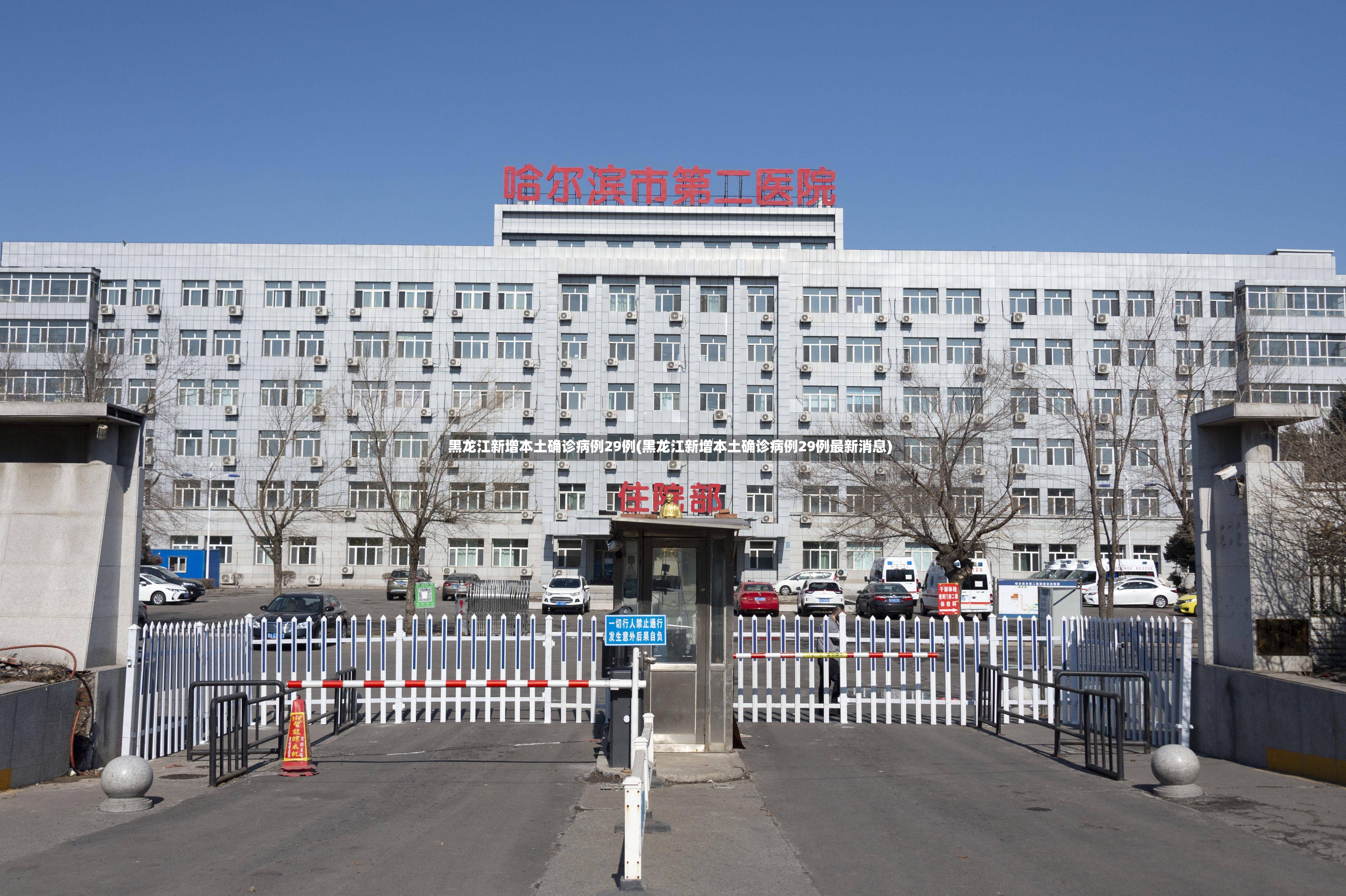 黑龙江新增本土确诊病例29例(黑龙江新增本土确诊病例29例最新消息)-第3张图片