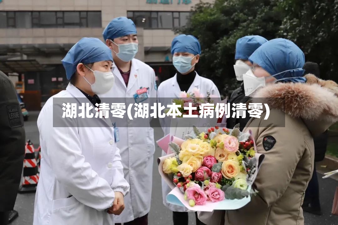 湖北清零(湖北本土病例清零)