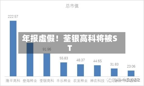 年报虚假！荃银高科将被ST-第2张图片