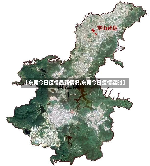 【东莞今日疫情最新情况,东莞今日疫情实时】-第3张图片