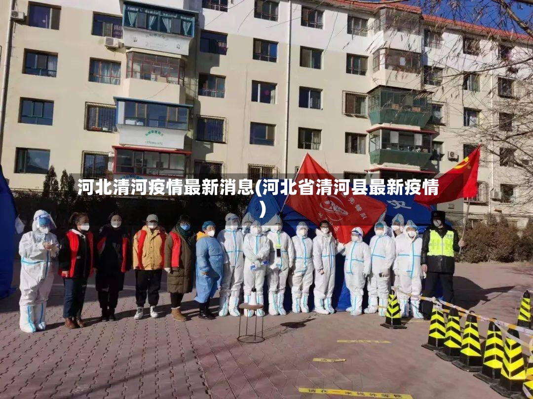 河北清河疫情最新消息(河北省清河县最新疫情)-第2张图片