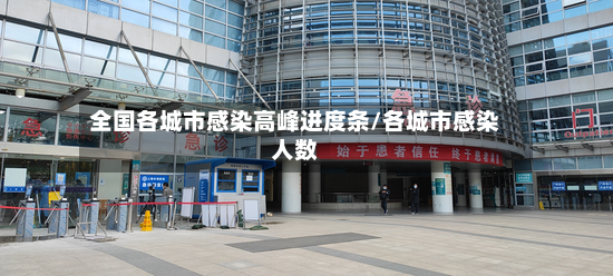 全国各城市感染高峰进度条/各城市感染人数-第2张图片