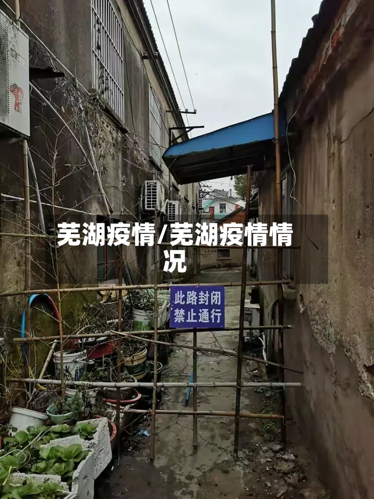 芜湖疫情/芜湖疫情情况