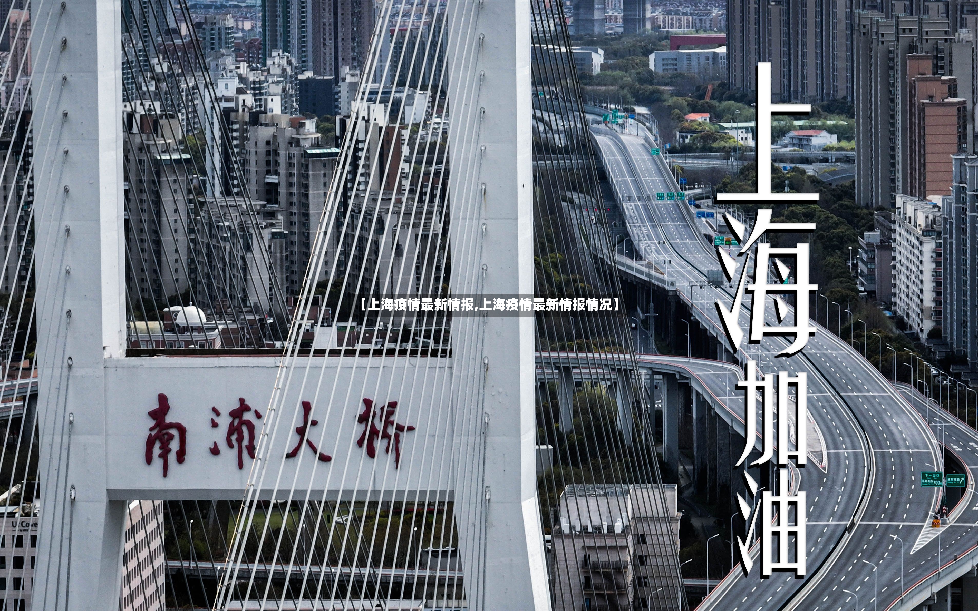 【上海疫情最新情报,上海疫情最新情报情况】-第2张图片