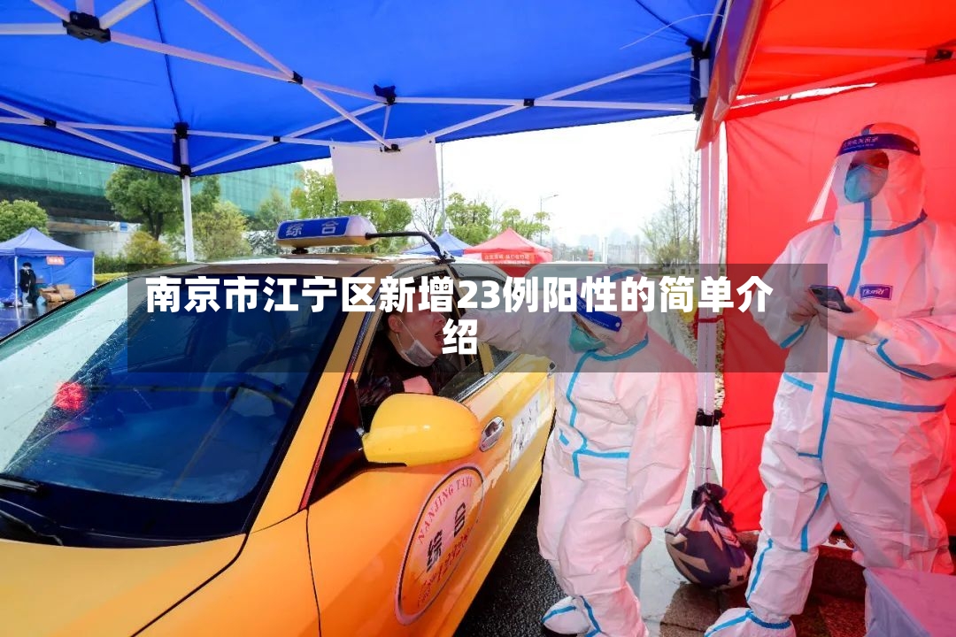 南京市江宁区新增23例阳性的简单介绍