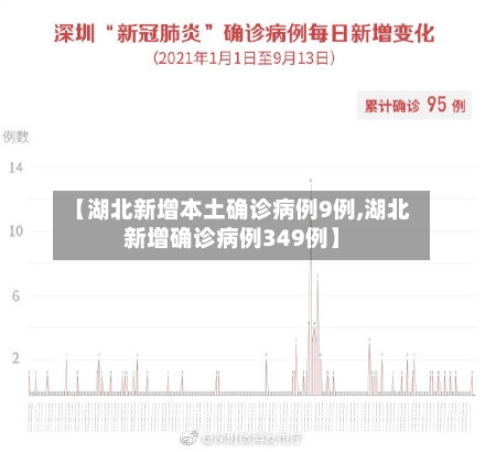 【湖北新增本土确诊病例9例,湖北新增确诊病例349例】-第2张图片