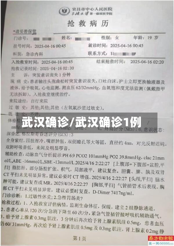 武汉确诊/武汉确诊1例