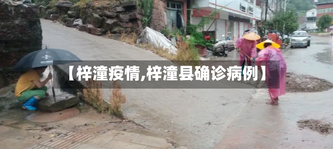 【梓潼疫情,梓潼县确诊病例】