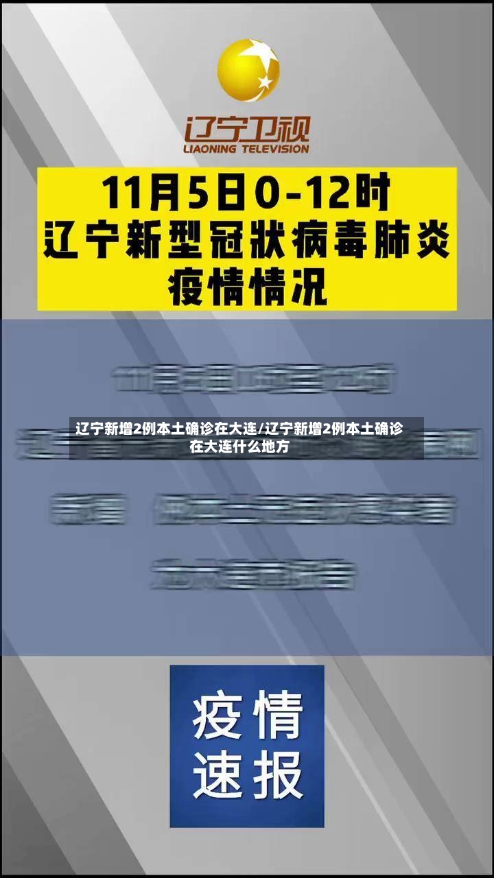 辽宁新增2例本土确诊在大连/辽宁新增2例本土确诊在大连什么地方-第2张图片