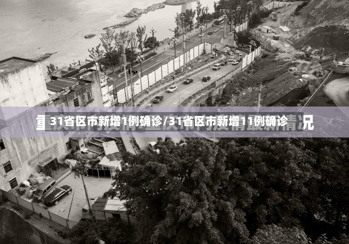 31省区市新增1例确诊/31省区市新增11例确诊-第2张图片