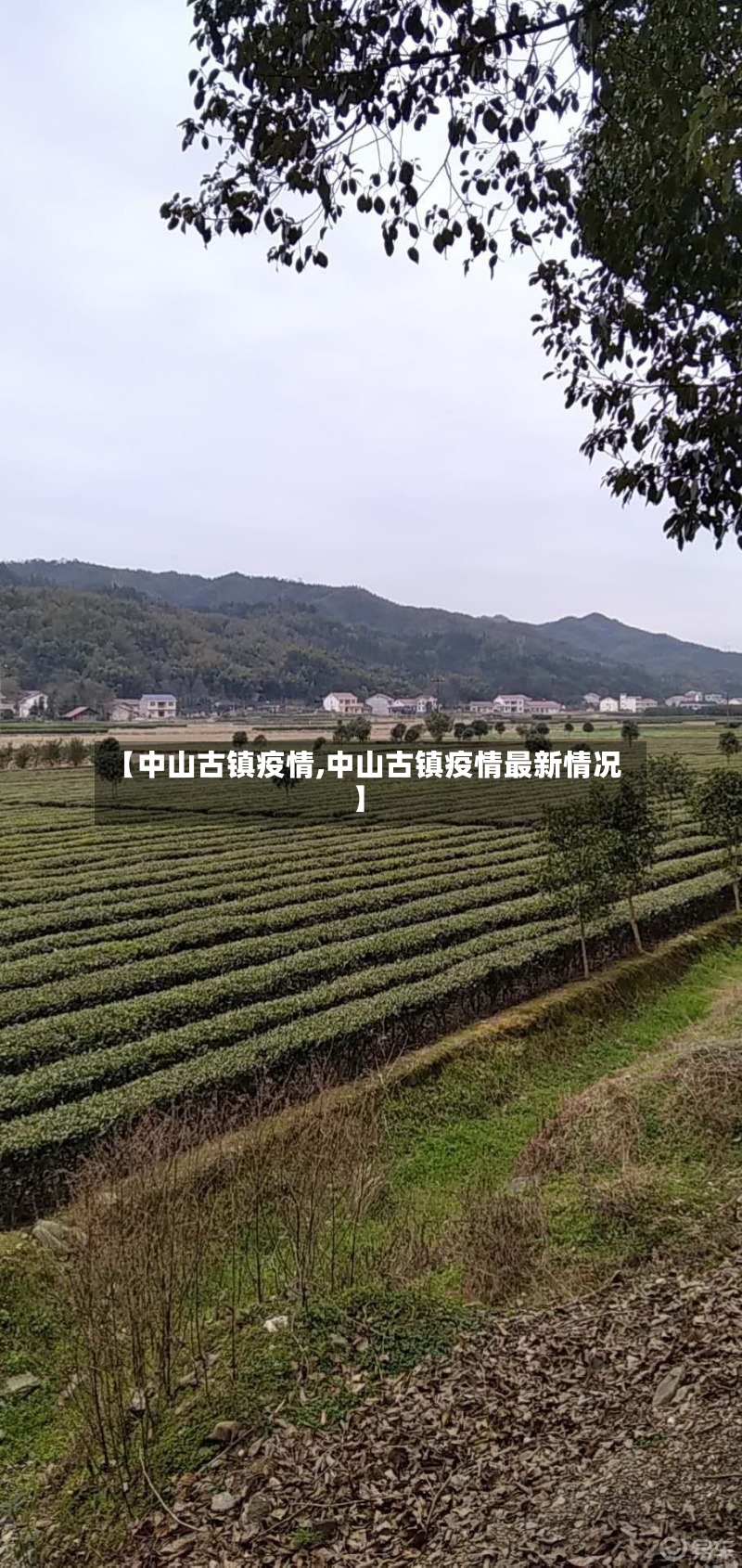 【中山古镇疫情,中山古镇疫情最新情况】-第2张图片