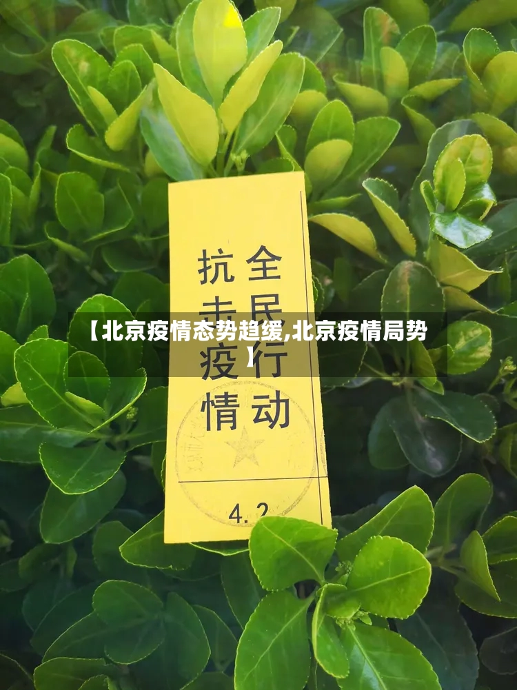 【北京疫情态势趋缓,北京疫情局势】-第3张图片