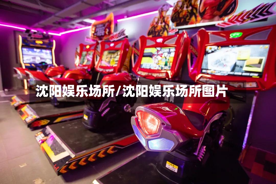 沈阳娱乐场所/沈阳娱乐场所图片