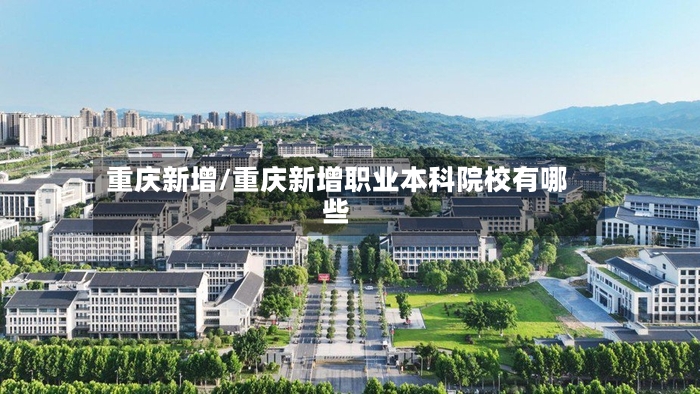 重庆新增/重庆新增职业本科院校有哪些-第2张图片
