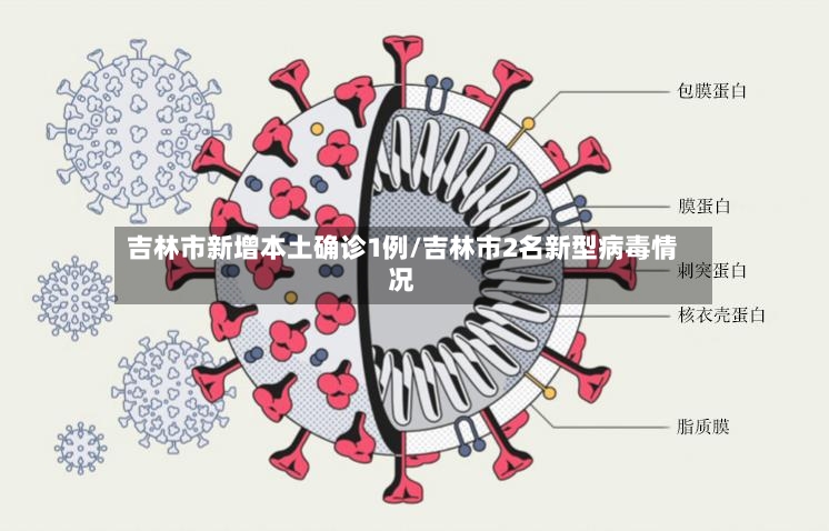 吉林市新增本土确诊1例/吉林市2名新型病毒情况-第3张图片