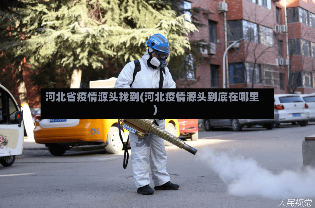 河北省疫情源头找到(河北疫情源头到底在哪里)-第2张图片