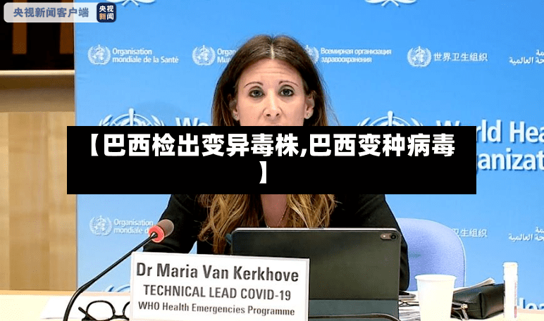 【巴西检出变异毒株,巴西变种病毒】-第3张图片