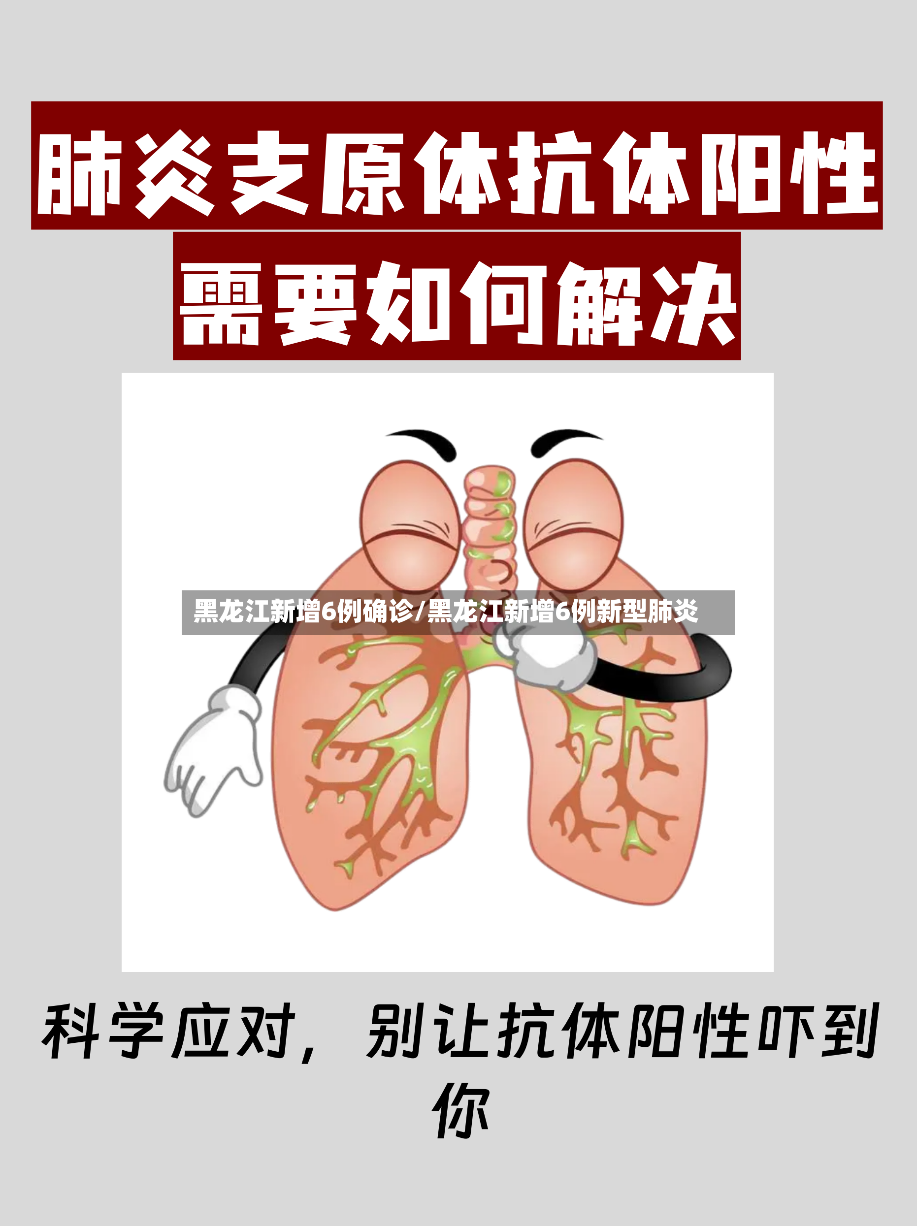 黑龙江新增6例确诊/黑龙江新增6例新型肺炎