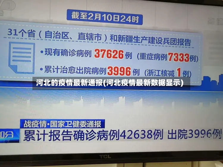 河北的疫情最新通报(河北疫情最新数据显示)-第2张图片