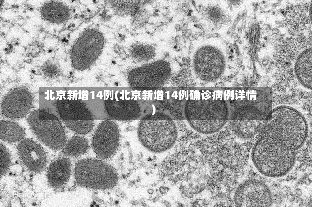 北京新增14例(北京新增14例确诊病例详情)-第2张图片