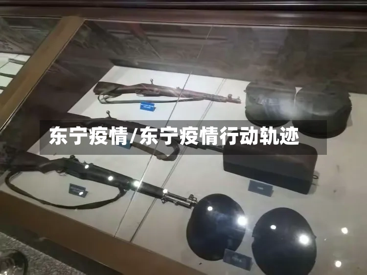 东宁疫情/东宁疫情行动轨迹-第3张图片