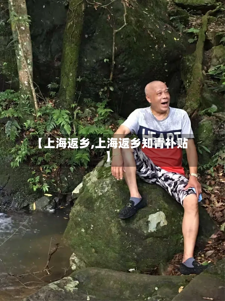 【上海返乡,上海返乡知青补贴】