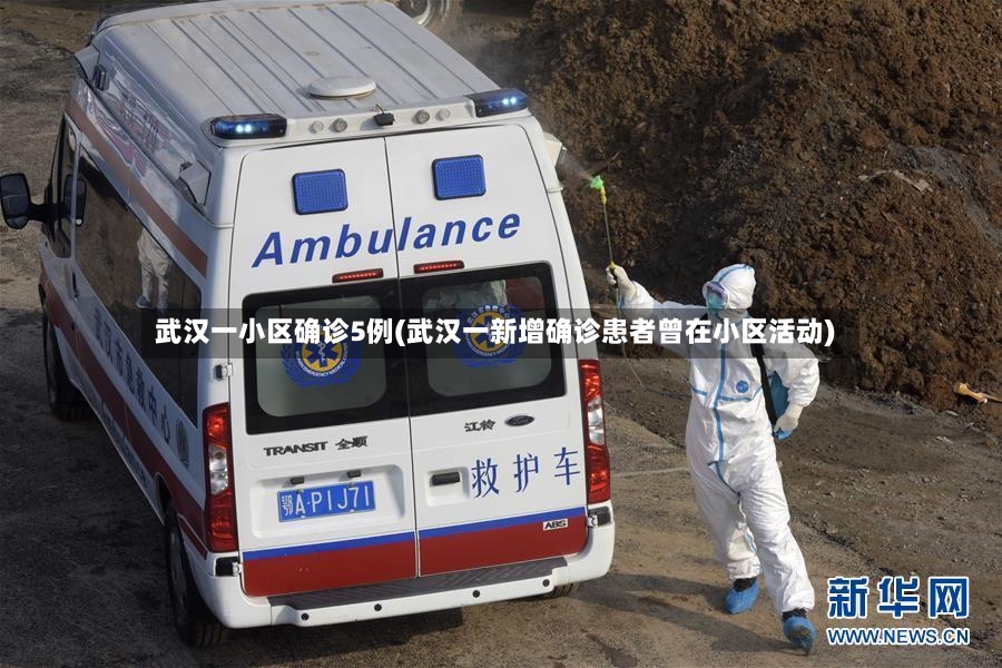 武汉一小区确诊5例(武汉一新增确诊患者曾在小区活动)-第2张图片