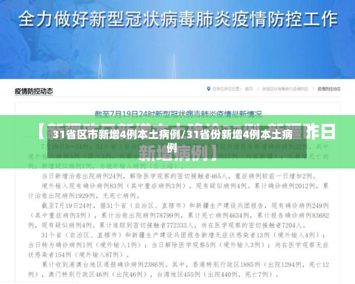 31省区市新增4例本土病例/31省份新增4例本土病例