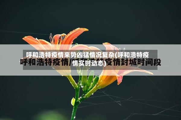 呼和浩特疫情来势凶猛情况复杂(呼和浩特疫情实时动态)