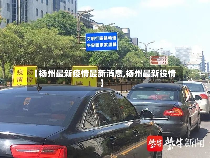 【杨州最新疫情最新消息,杨州最新役情】-第2张图片