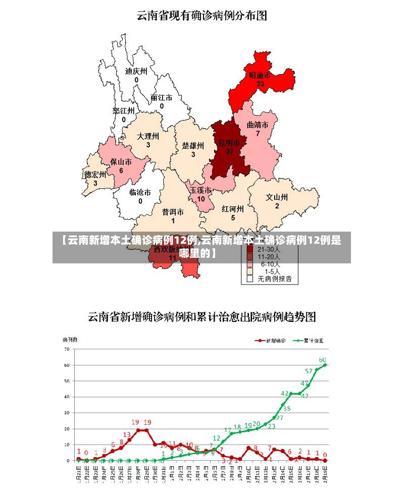 【云南新增本土确诊病例12例,云南新增本土确诊病例12例是哪里的】-第2张图片