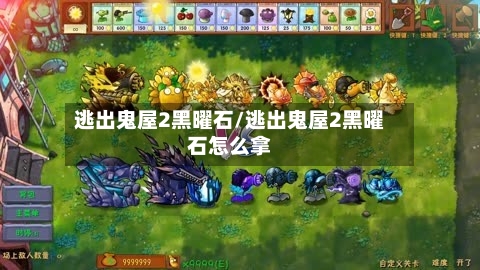逃出鬼屋2黑曜石/逃出鬼屋2黑曜石怎么拿-第2张图片