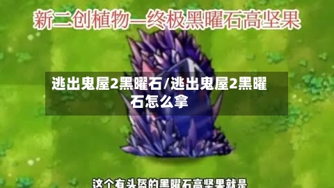逃出鬼屋2黑曜石/逃出鬼屋2黑曜石怎么拿