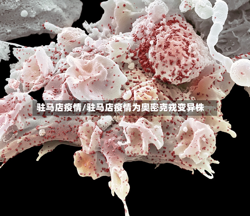 驻马店疫情/驻马店疫情为奥密克戎变异株