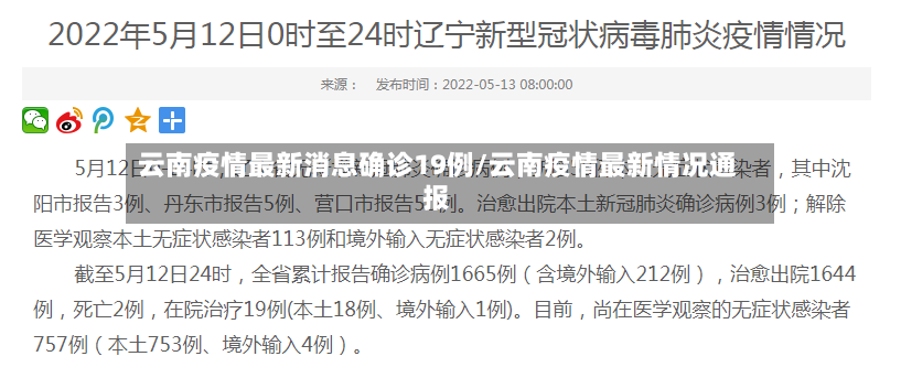 云南疫情最新消息确诊19例/云南疫情最新情况通报-第2张图片