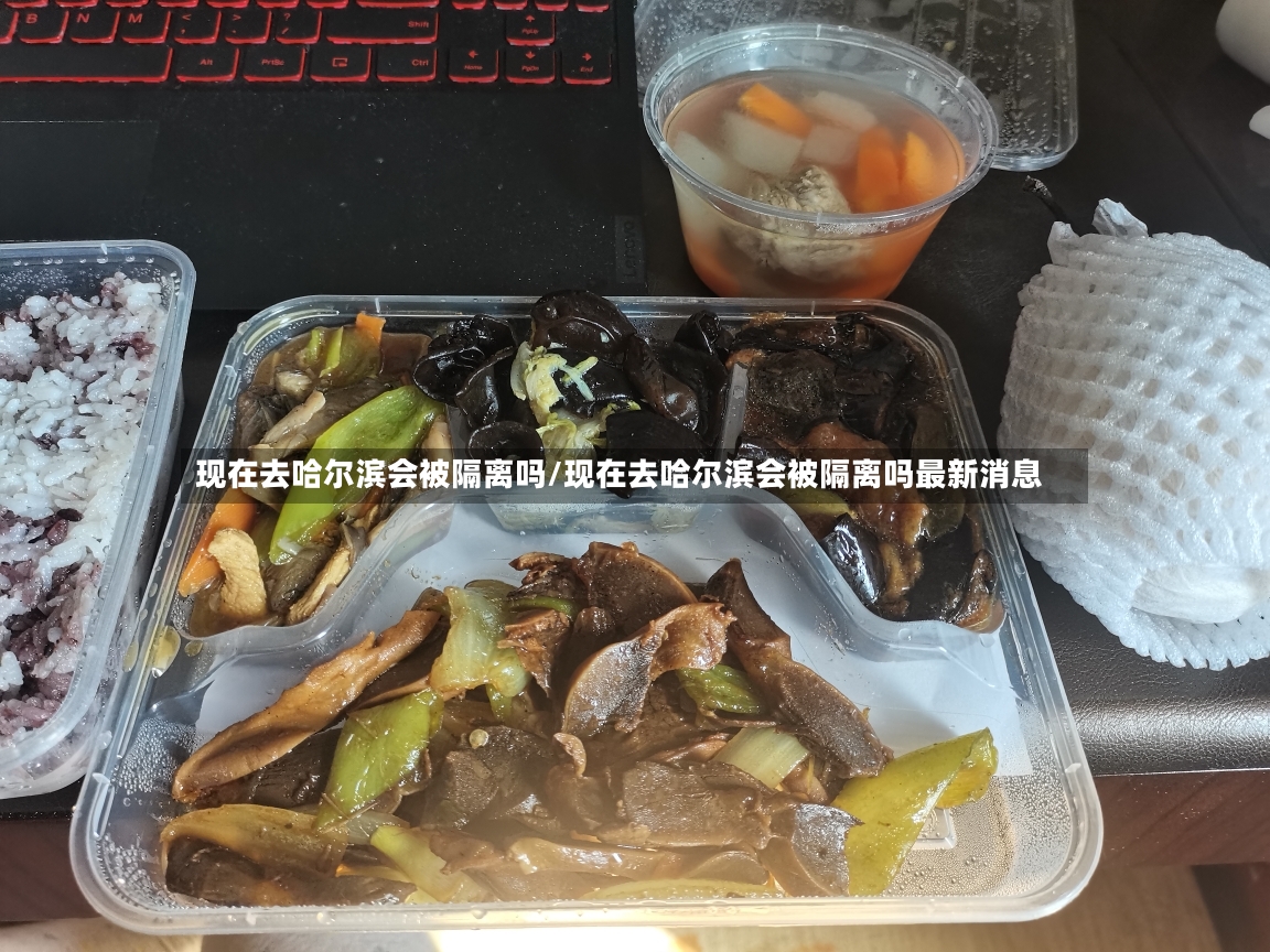 现在去哈尔滨会被隔离吗/现在去哈尔滨会被隔离吗最新消息-第2张图片
