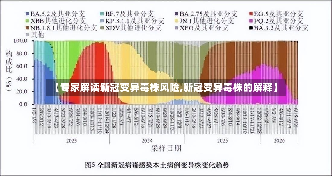 【专家解读新冠变异毒株风险,新冠变异毒株的解释】-第3张图片