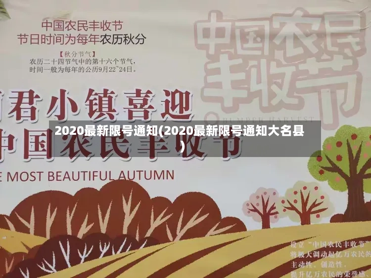 2020最新限号通知(2020最新限号通知大名县)-第2张图片