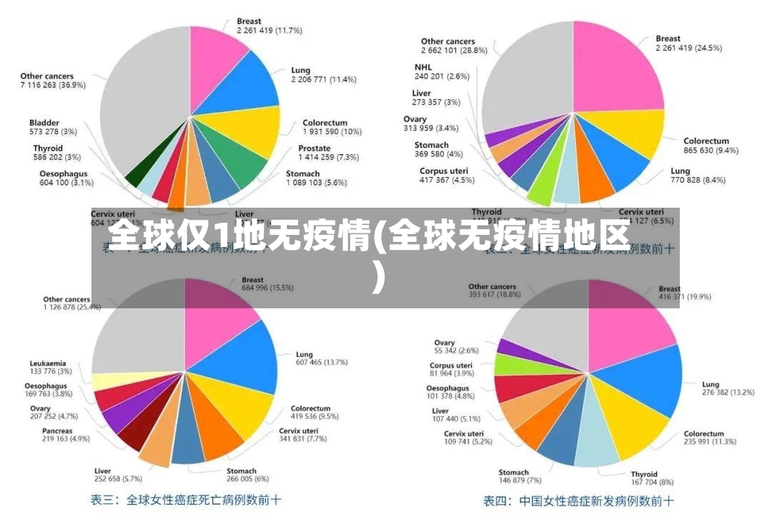 全球仅1地无疫情(全球无疫情地区)