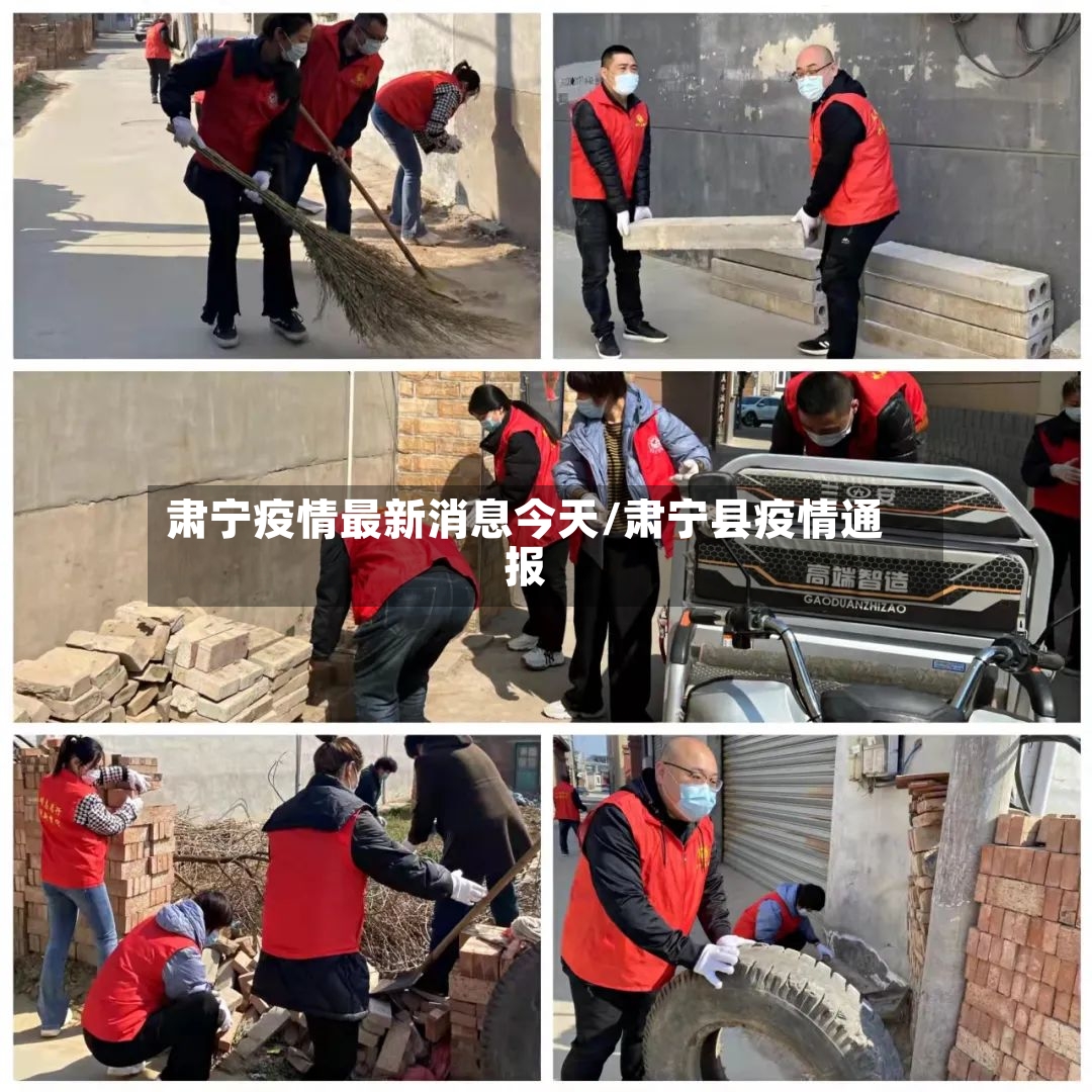 肃宁疫情最新消息今天/肃宁县疫情通报