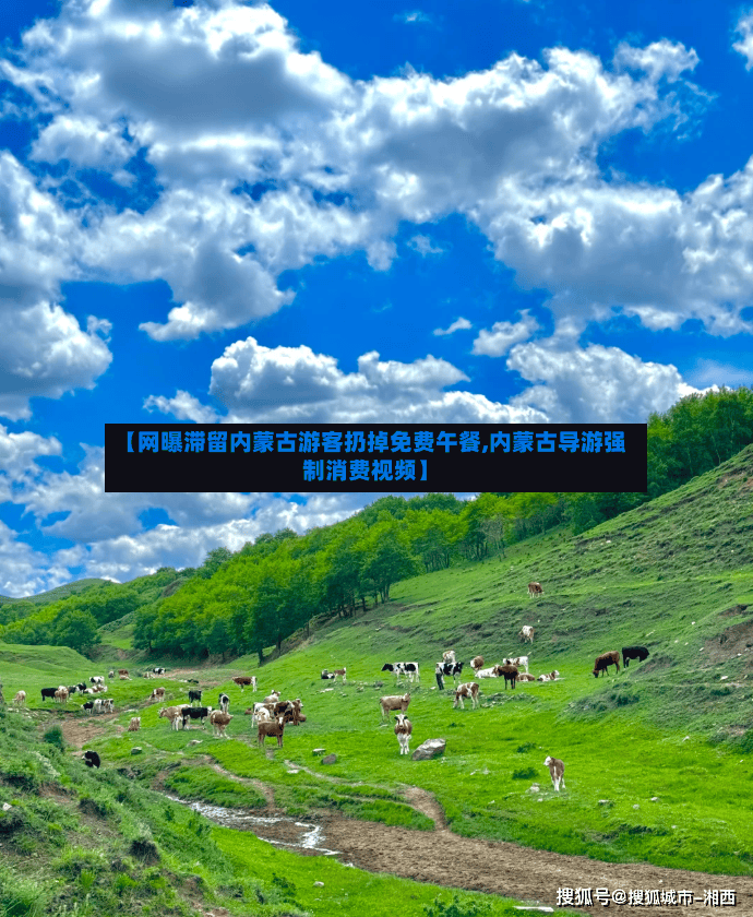 【网曝滞留内蒙古游客扔掉免费午餐,内蒙古导游强制消费视频】-第3张图片