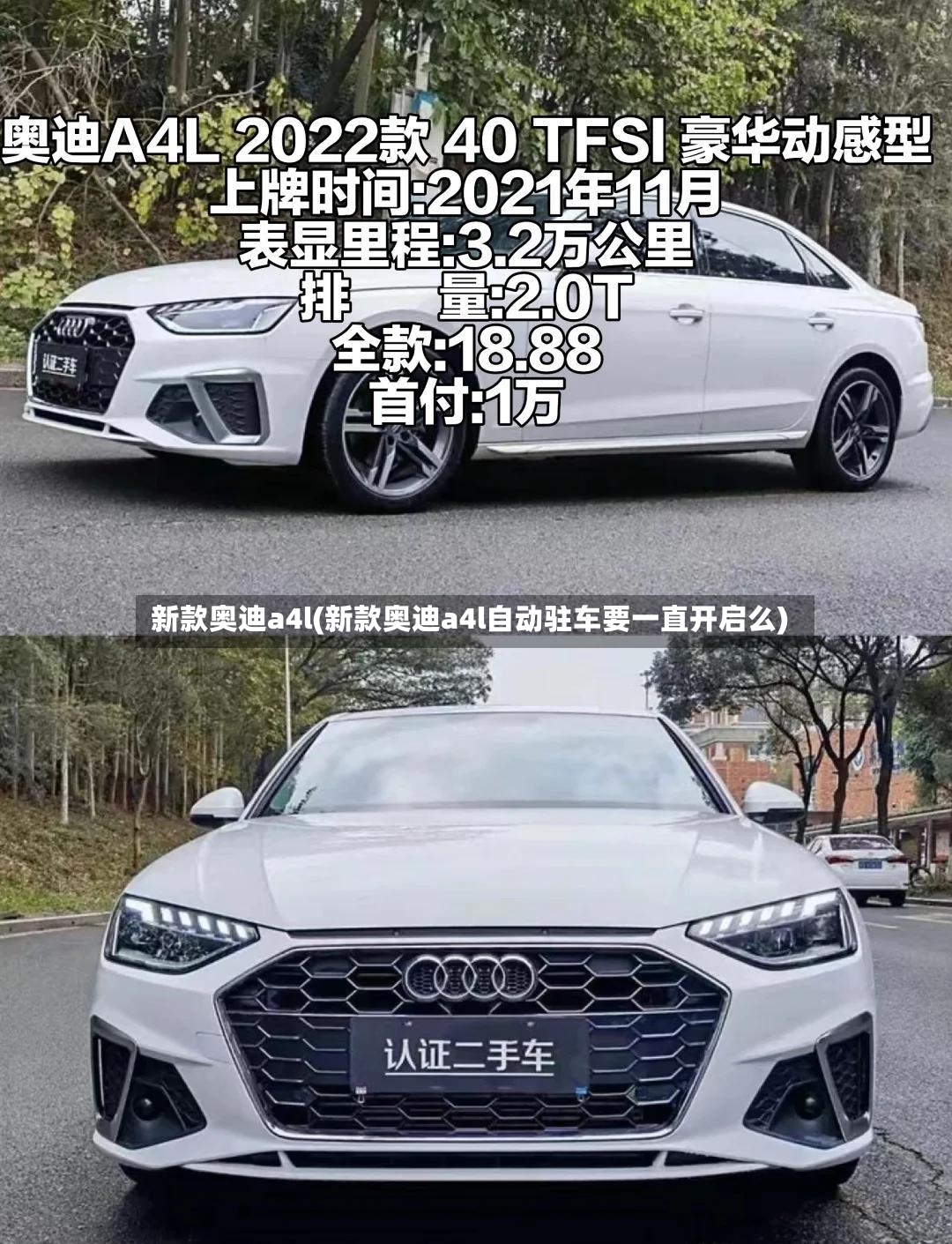 新款奥迪a4l(新款奥迪a4l自动驻车要一直开启么)-第2张图片